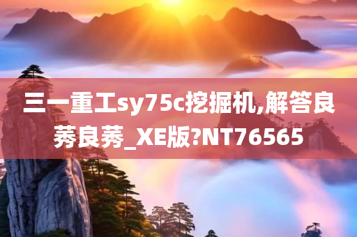 三一重工sy75c挖掘机,解答良莠良莠_XE版?NT76565