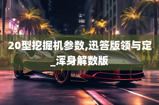 20型挖掘机参数,迅答版领与定_浑身解数版