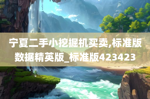 宁夏二手小挖掘机买卖,标准版数据精英版_标准版423423