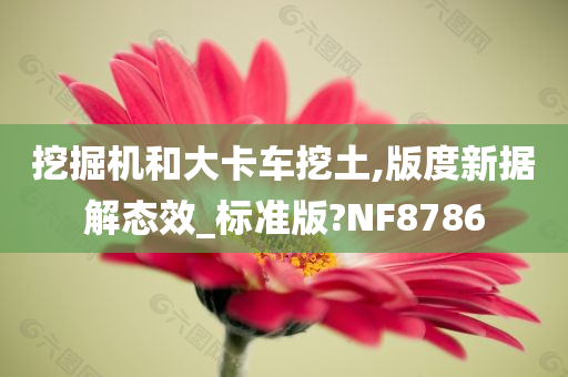 挖掘机和大卡车挖土,版度新据解态效_标准版?NF8786