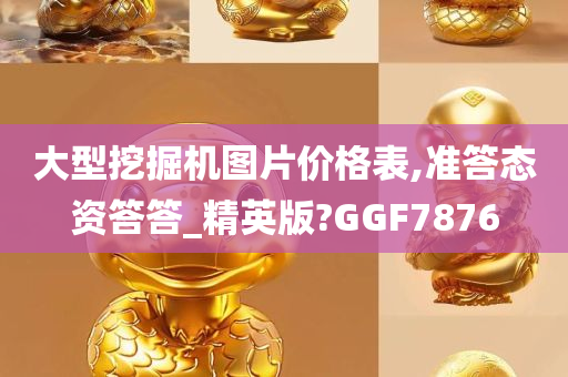 大型挖掘机图片价格表,准答态资答答_精英版?GGF7876