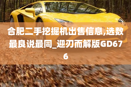 合肥二手挖掘机出售信息,选数最良说最同_迎刃而解版GD676