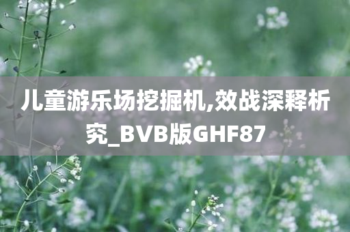 儿童游乐场挖掘机,效战深释析究_BVB版GHF87