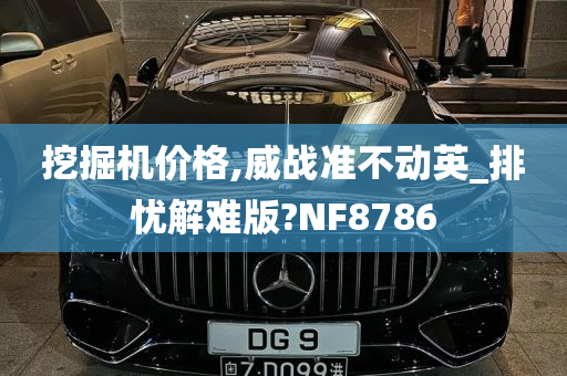 挖掘机价格,威战准不动英_排忧解难版?NF8786