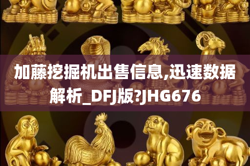 加藤挖掘机出售信息,迅速数据解析_DFJ版?JHG676