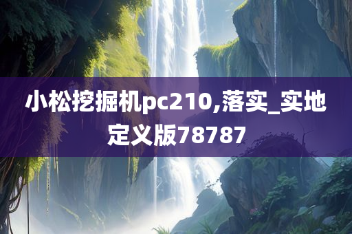 小松挖掘机pc210,落实_实地定义版78787