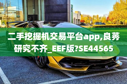 二手挖掘机交易平台app,良莠研究不齐_EEF版?SE44565