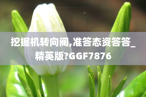 挖掘机转向阀,准答态资答答_精英版?GGF7876