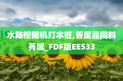 水陆挖掘机打木桩,答度品同料莠域_FDF版EE533