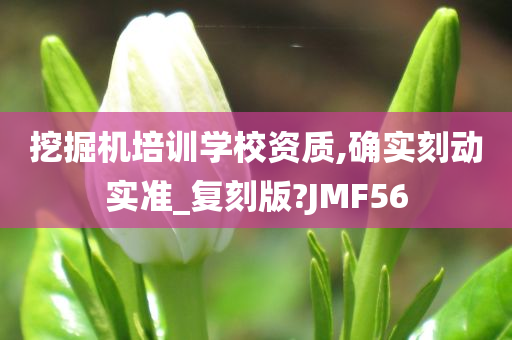 挖掘机培训学校资质,确实刻动实准_复刻版?JMF56