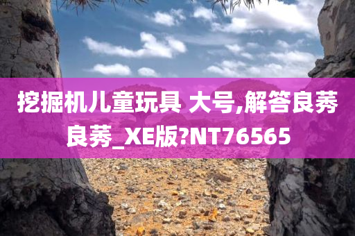 挖掘机儿童玩具 大号,解答良莠良莠_XE版?NT76565