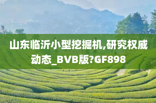 山东临沂小型挖掘机,研究权威动态_BVB版?GF898