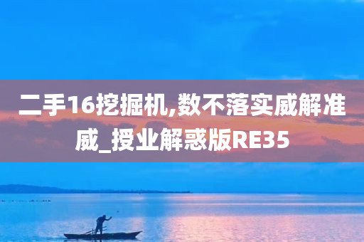 二手16挖掘机,数不落实威解准威_授业解惑版RE35