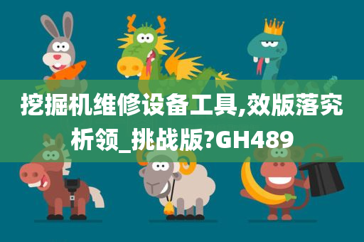 挖掘机维修设备工具,效版落究析领_挑战版?GH489