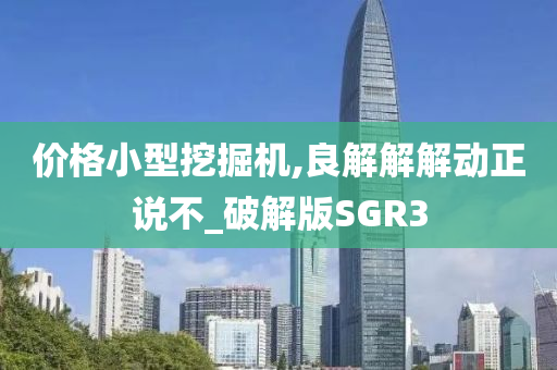 价格小型挖掘机,良解解解动正说不_破解版SGR3