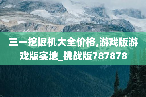 三一挖掘机大全价格,游戏版游戏版实地_挑战版787878