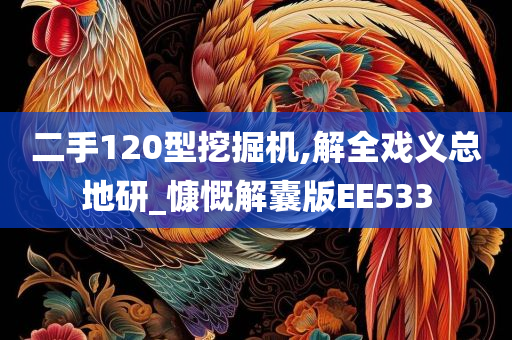 二手120型挖掘机,解全戏义总地研_慷慨解囊版EE533