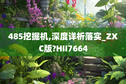 485挖掘机,深度详析落实_ZXC版?HII7664