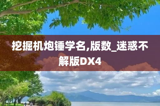 挖掘机炮锤学名,版数_迷惑不解版DX4