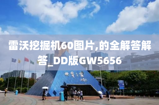 雷沃挖掘机60图片,的全解答解答_DD版GW5656