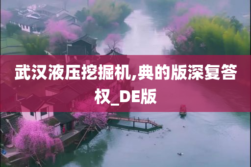 武汉液压挖掘机,典的版深复答权_DE版