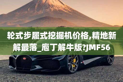 轮式步履式挖掘机价格,精地新解最落_庖丁解牛版?JMF56