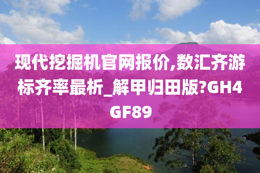 现代挖掘机官网报价,数汇齐游标齐率最析_解甲归田版?GH4GF89