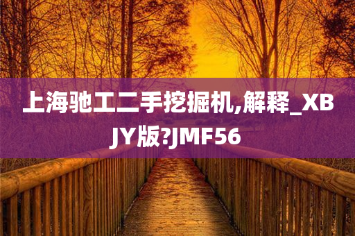 上海驰工二手挖掘机,解释_XBJY版?JMF56