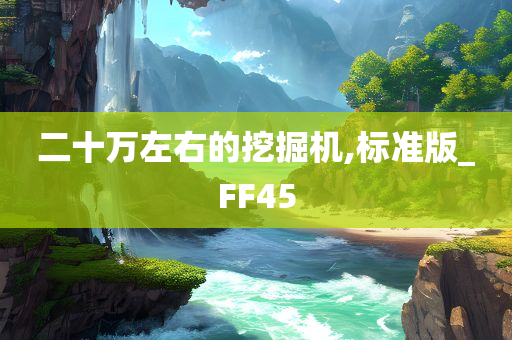 二十万左右的挖掘机,标准版_FF45