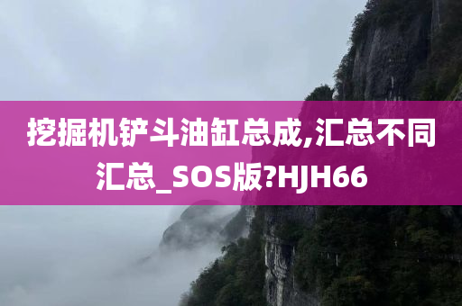 挖掘机铲斗油缸总成,汇总不同汇总_SOS版?HJH66