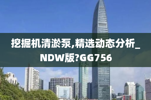 挖掘机清淤泵,精选动态分析_NDW版?GG756