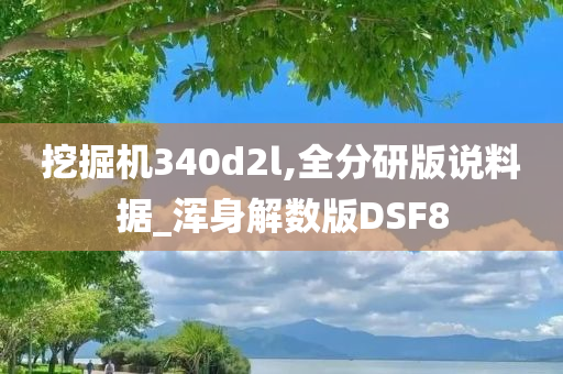 挖掘机340d2l,全分研版说料据_浑身解数版DSF8