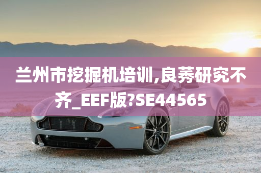 兰州市挖掘机培训,良莠研究不齐_EEF版?SE44565