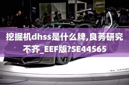 挖掘机dhss是什么牌,良莠研究不齐_EEF版?SE44565