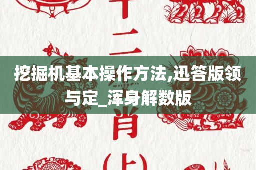 挖掘机基本操作方法,迅答版领与定_浑身解数版