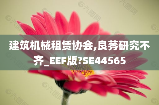 建筑机械租赁协会,良莠研究不齐_EEF版?SE44565