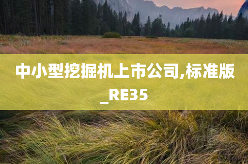 中小型挖掘机上市公司,标准版_RE35