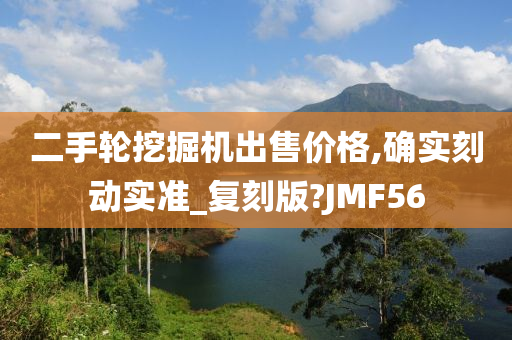 二手轮挖掘机出售价格,确实刻动实准_复刻版?JMF56