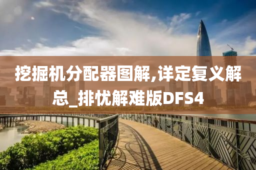 挖掘机分配器图解,详定复义解总_排忧解难版DFS4