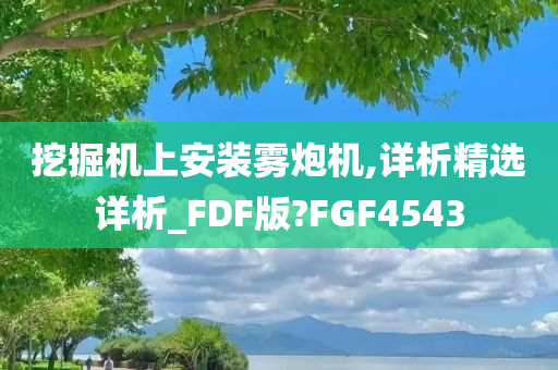 挖掘机上安装雾炮机,详析精选详析_FDF版?FGF4543