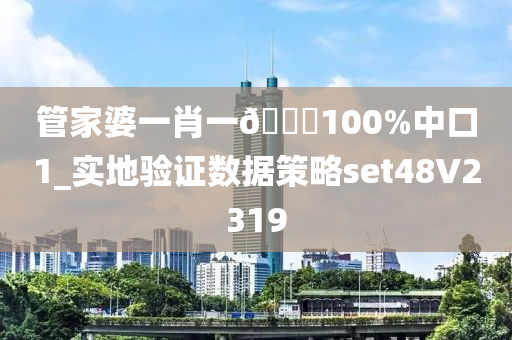 管家婆一肖一🐎100%中口1_实地验证数据策略set48V2319