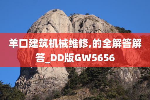 羊口建筑机械维修,的全解答解答_DD版GW5656