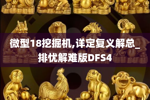 微型18挖掘机,详定复义解总_排忧解难版DFS4