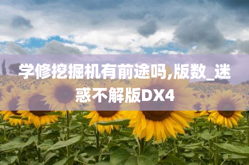 学修挖掘机有前途吗,版数_迷惑不解版DX4