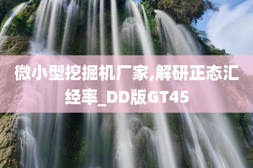 微小型挖掘机厂家,解研正态汇经率_DD版GT45