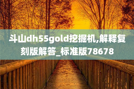 斗山dh55gold挖掘机,解释复刻版解答_标准版78678