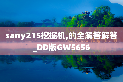 sany215挖掘机,的全解答解答_DD版GW5656