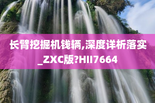 长臂挖掘机钱辆,深度详析落实_ZXC版?HII7664