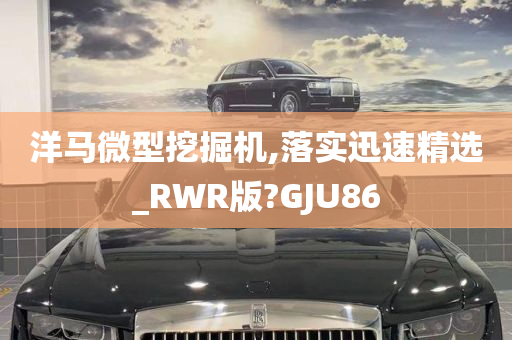 洋马微型挖掘机,落实迅速精选_RWR版?GJU86