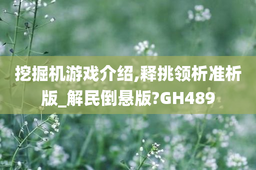 挖掘机游戏介绍,释挑领析准析版_解民倒悬版?GH489